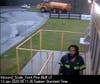 The driver, identified as Eddie Leon Alston, 37, of Chapel Hill, North Carolina, was seen dumping an illegal substance onto the ground on I-575 underneath the Lower Bethany Road bridge.