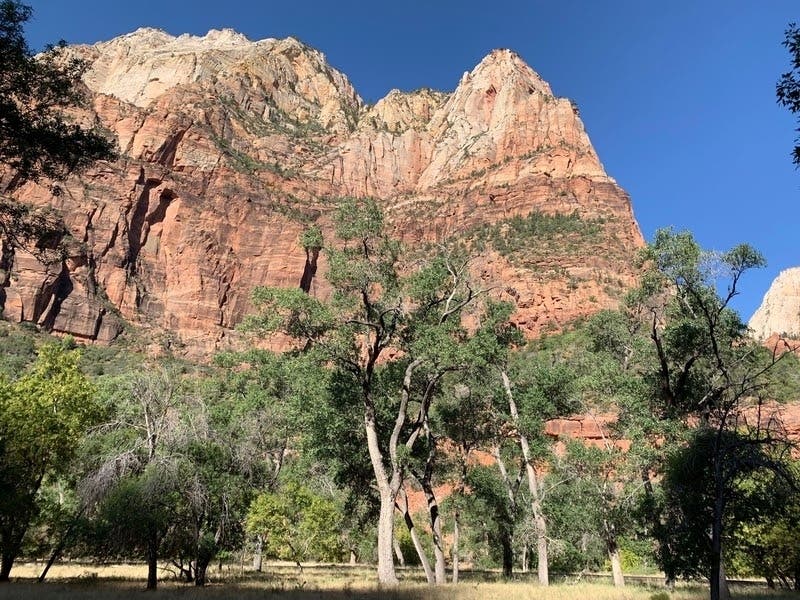 Fees will be waived at national parks nationwide on Martin Luther King Jr. Day. 