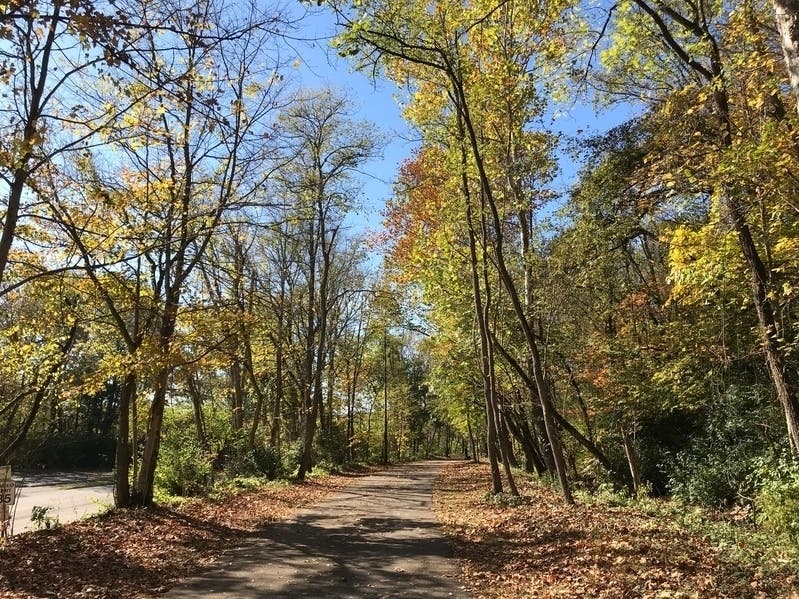 The proposed trail would be between North Mount Drive and Yukon Drive to increase accessibility in the neighborhood and connect paths.