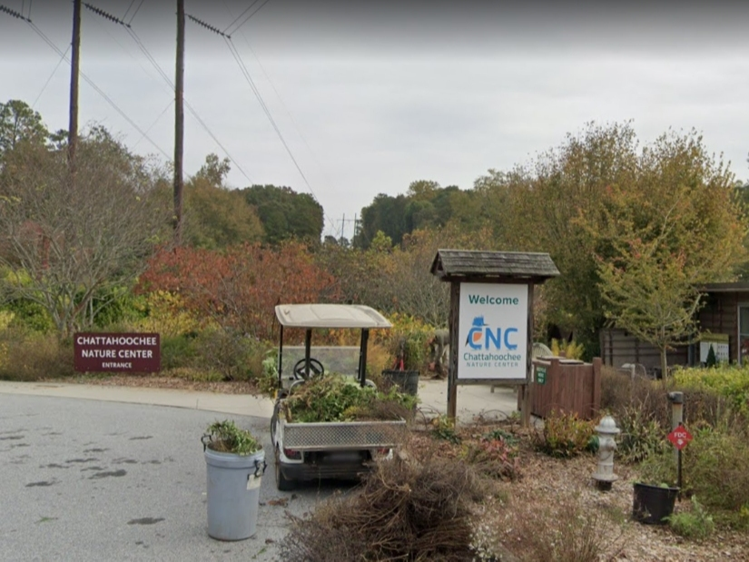 The Chattahoochee Nature Center has named Natasha Rice as its new president and chief executive officer, starting June 7.