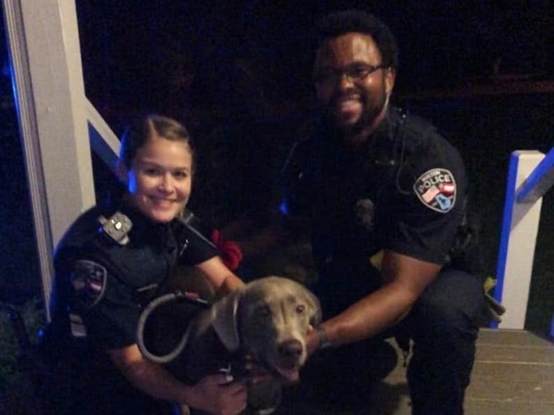Rebel the dog was reunited early Friday morning after Milton police said the car he was in was stolen from a shopping center. 