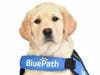 BluePath Service Dogs will host their virtual walkathon on Saturday, October 3 to raise funds in support of the nonprofit’s mission to provide autism service dogs, offering safety, companionship and opportunities for independence.