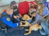 (from left): City of Rye Police Officer Alex Whalen; Erica Stanzione, BluePath’s Director of Marketing and Development; and BluePath service dog in training Otis visit Meagan Barnett’s class at Milton Elementary School.