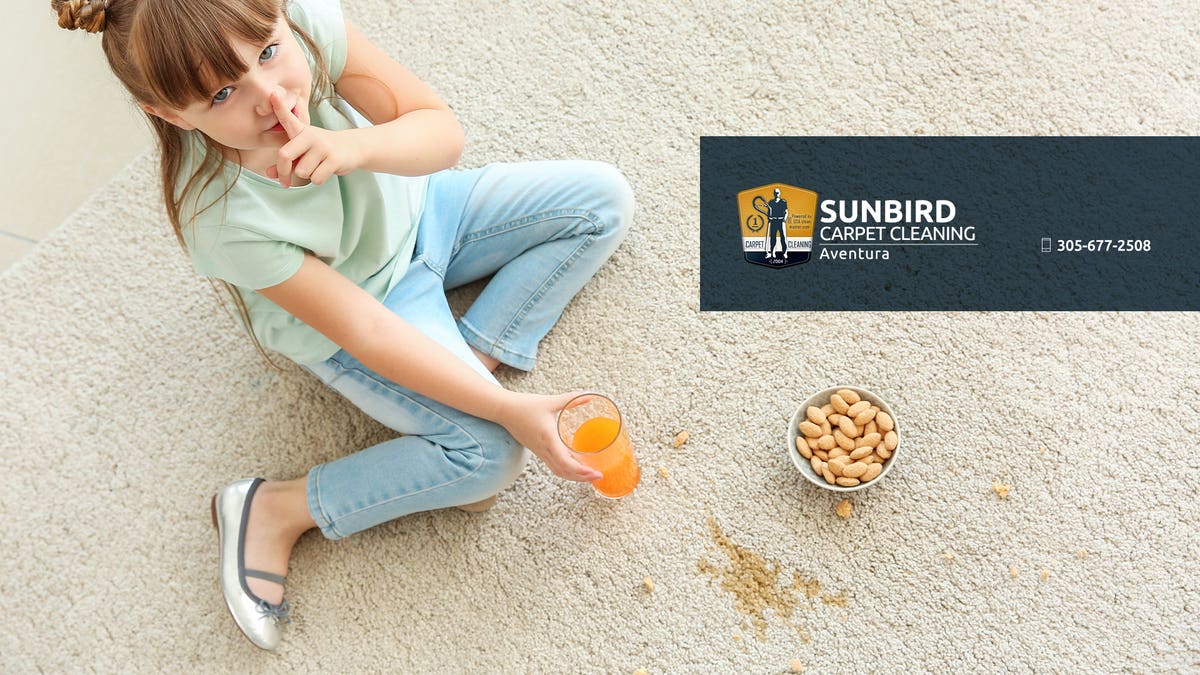 Sunbird Carpet Cleaning Aventura