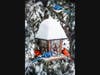 Birds on bird feeder in winter