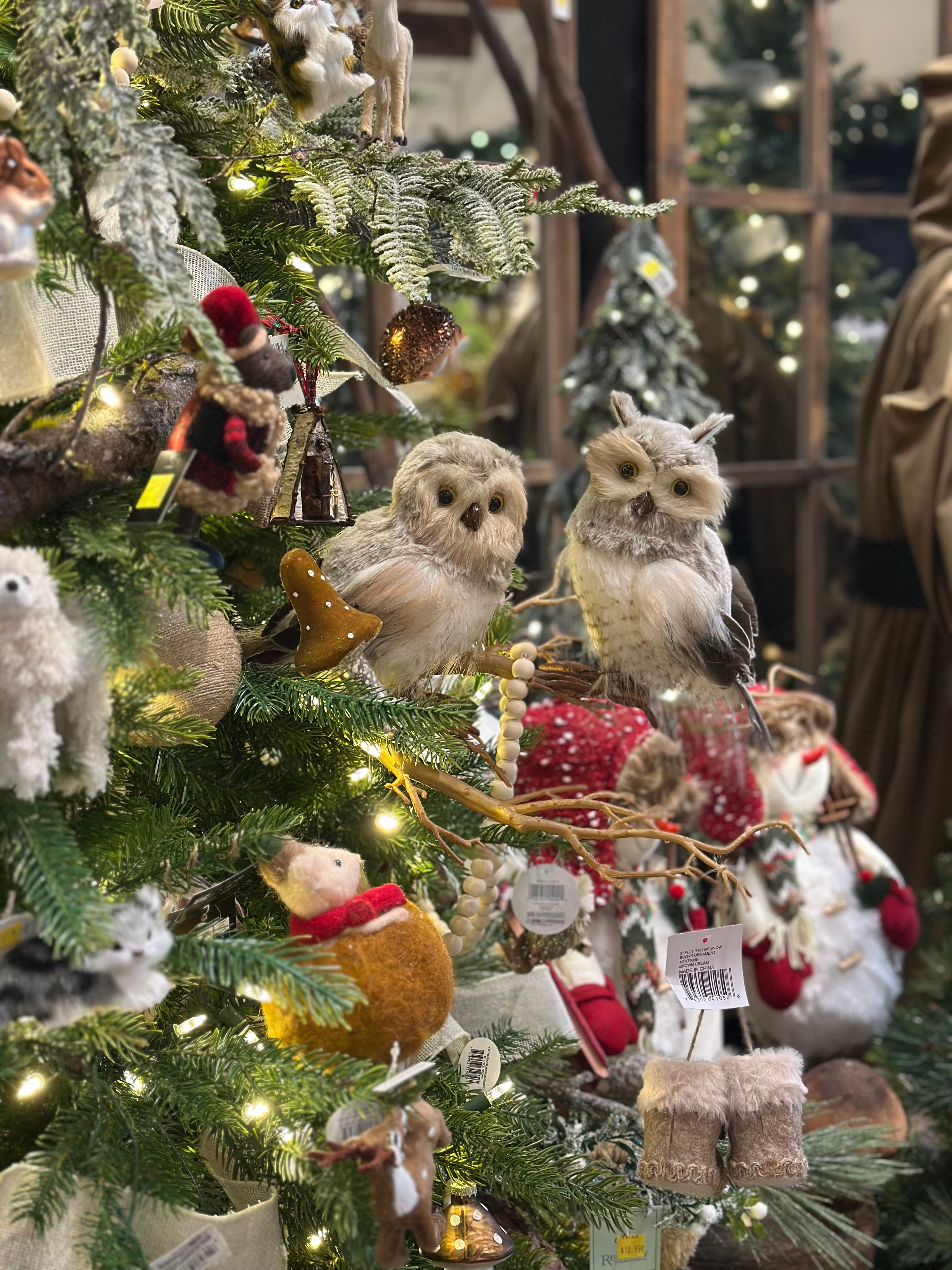 Step into a Winter Wonderland: Down to Earth Living Holiday Open House!