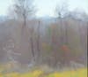 Oil Painting, Julia Sutliff Donatelli