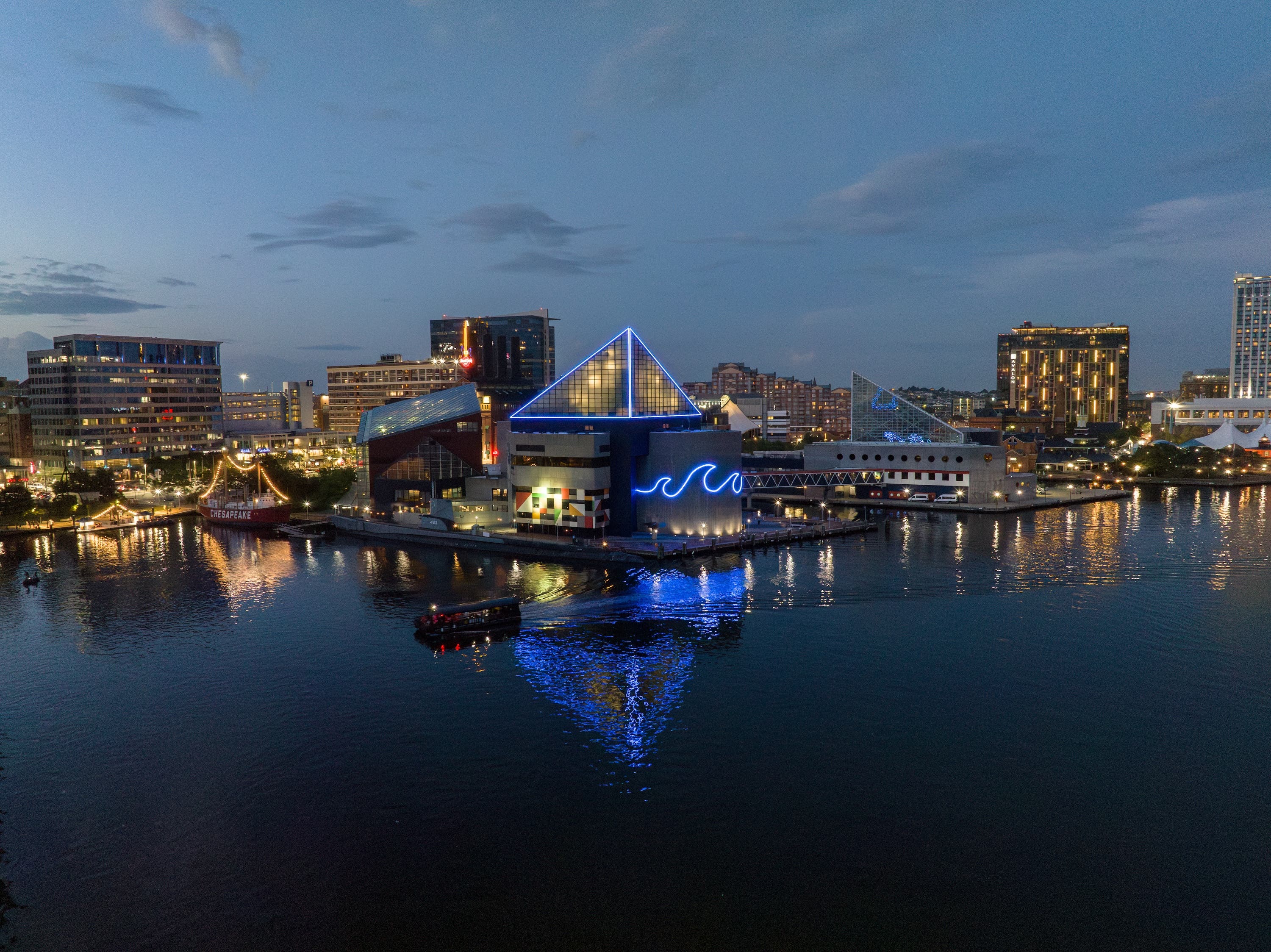 Thursday Night Swim at the National Aquarium