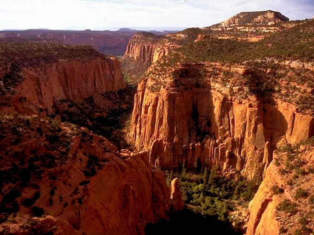 The Upper Gulch section of the Escalante Canyons within Grand Staircase-Escalante National Monument features sheer sandstone walls, broken occasionally by tributary canyons, shown in an undated photo.