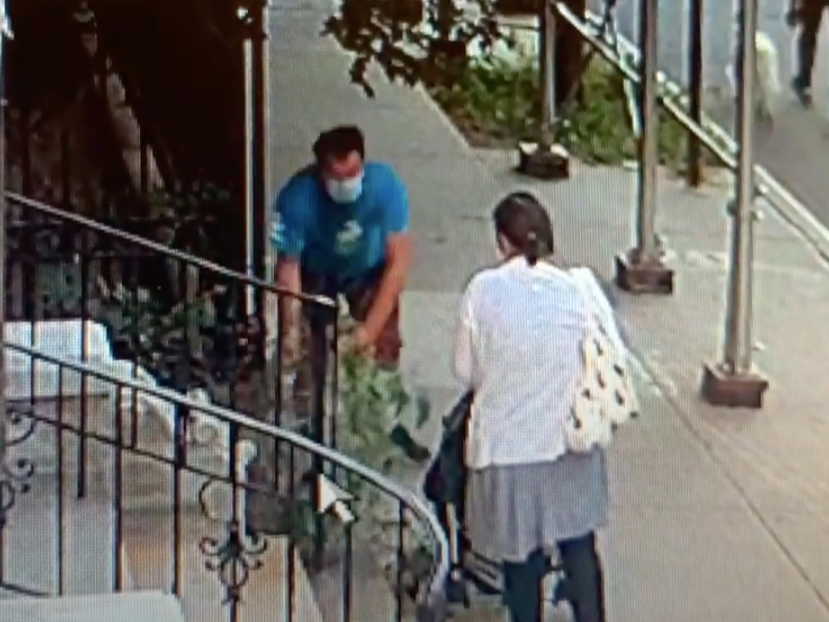 A man is shown taking a part of a hydrangea plant from the New York Buddhist Church's garden. 