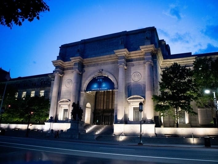 Natural History Museum Announces Spooky Classes, Costume Contest