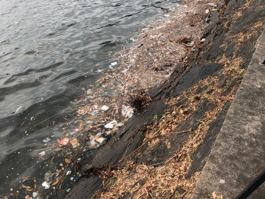 An image of trash floating in the Central Park Reservoir.