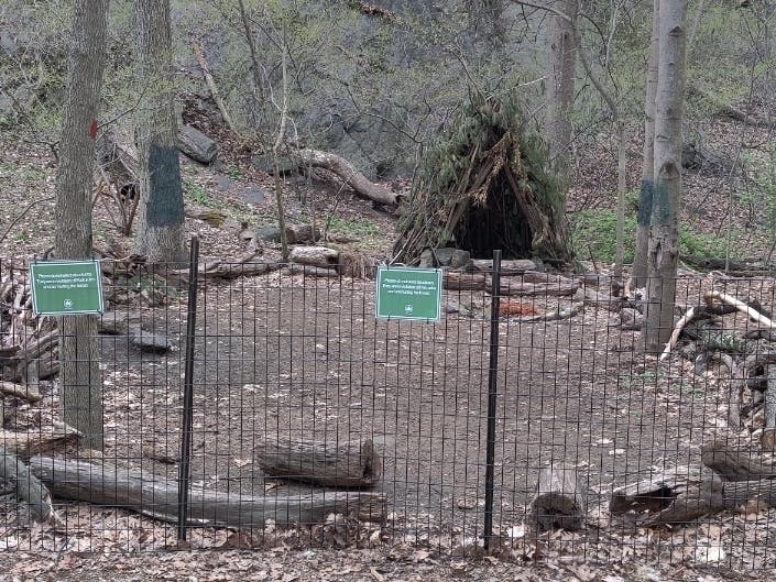 An image of the fenced-off Circle, an Indigenous Sacred Hoop in Inwood Hill Park.