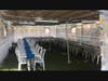 Inside the sukkah. 