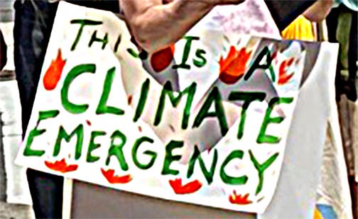 A Protestor's Sign Says is All A Protestor's Sign Says is All