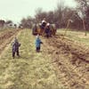 A Sunny Harvest Farms cultivator with kids in tow.