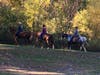 Even horses were part of the action at Eisenhower Park during the cross country meet on October 14th 2022