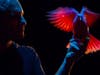 Magic Monday features a different line-up of magicians each week