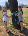 Mendham Girl Scouts