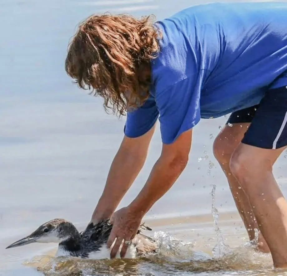 Birds in Helping Hands - Meet the Rescue Crew