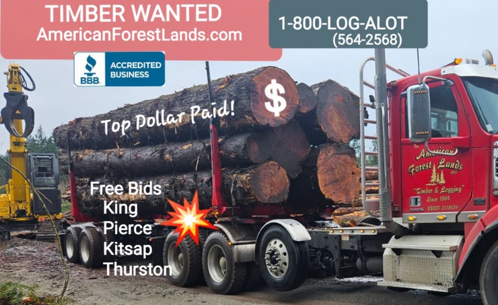 TIMBER WANTED-Top Dollar paid! Local WA Logging, Land Clearing- Trees- Logs- 