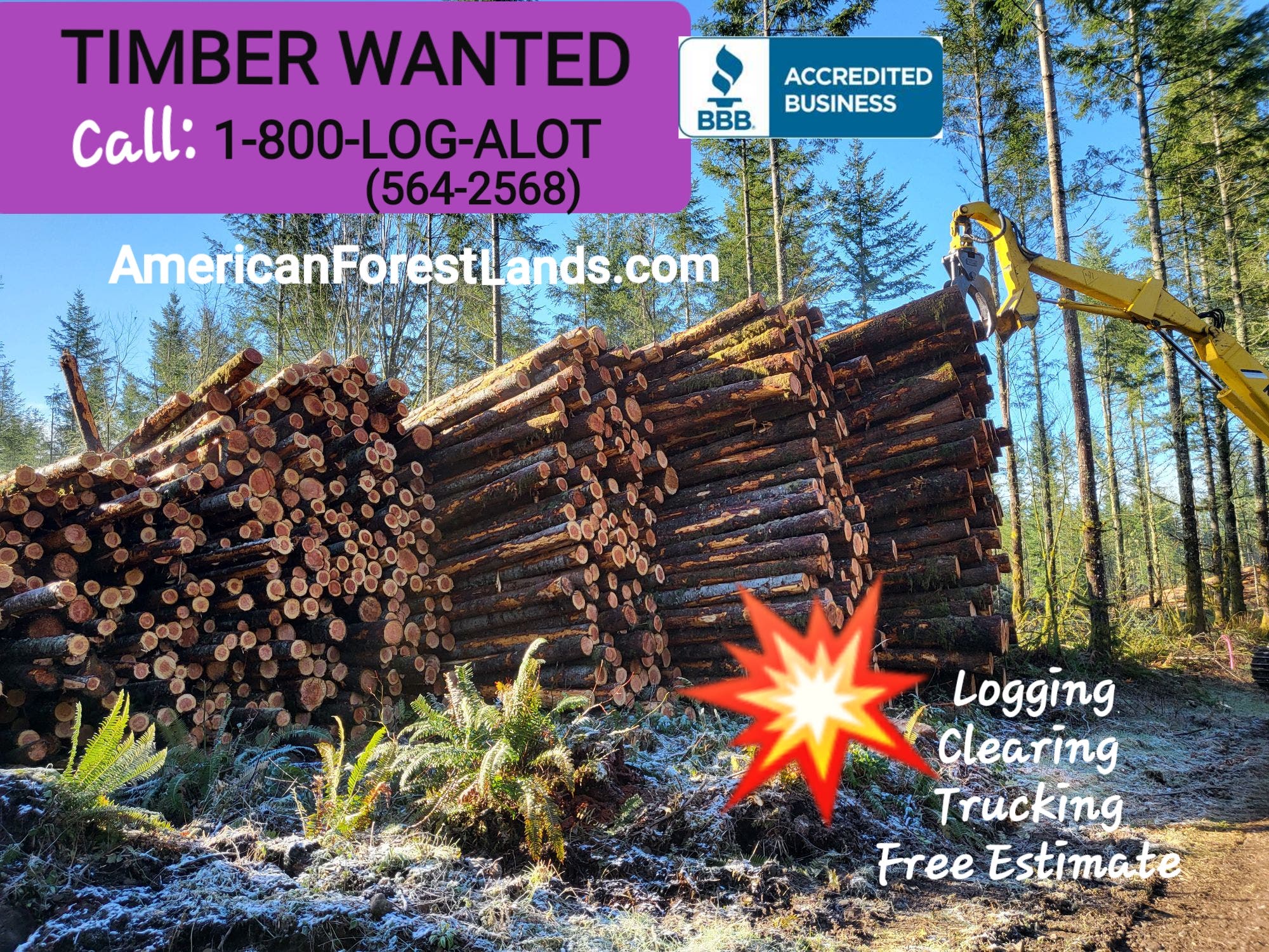 Timber For Sale? Free Bid Value- Logging, Trees Clearing, Cleanup, South King + Pierce County 