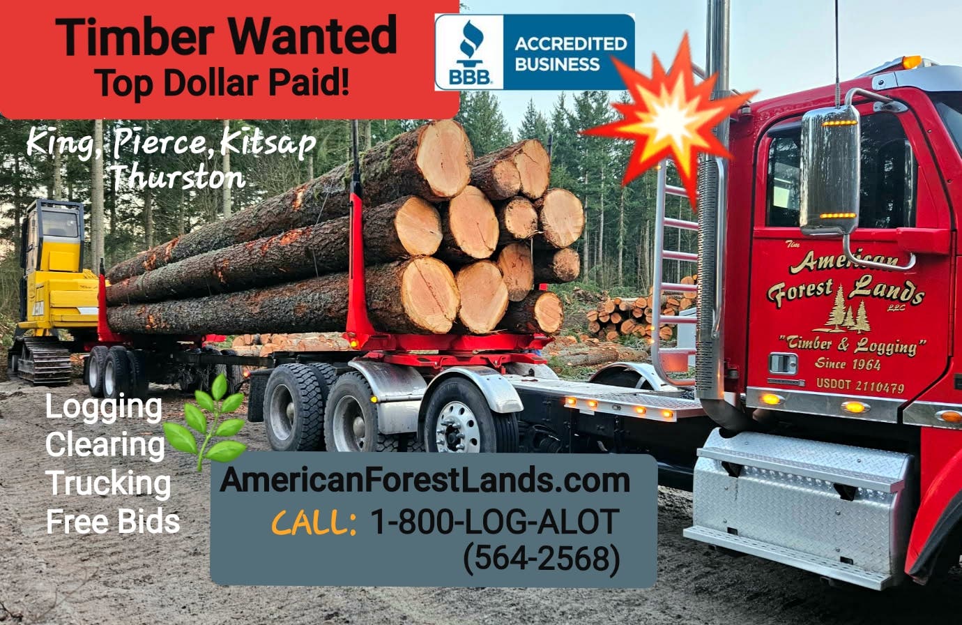 STANDING TIMBER WANTED- Top dollar paid! FREE SITE ESTIMATE.