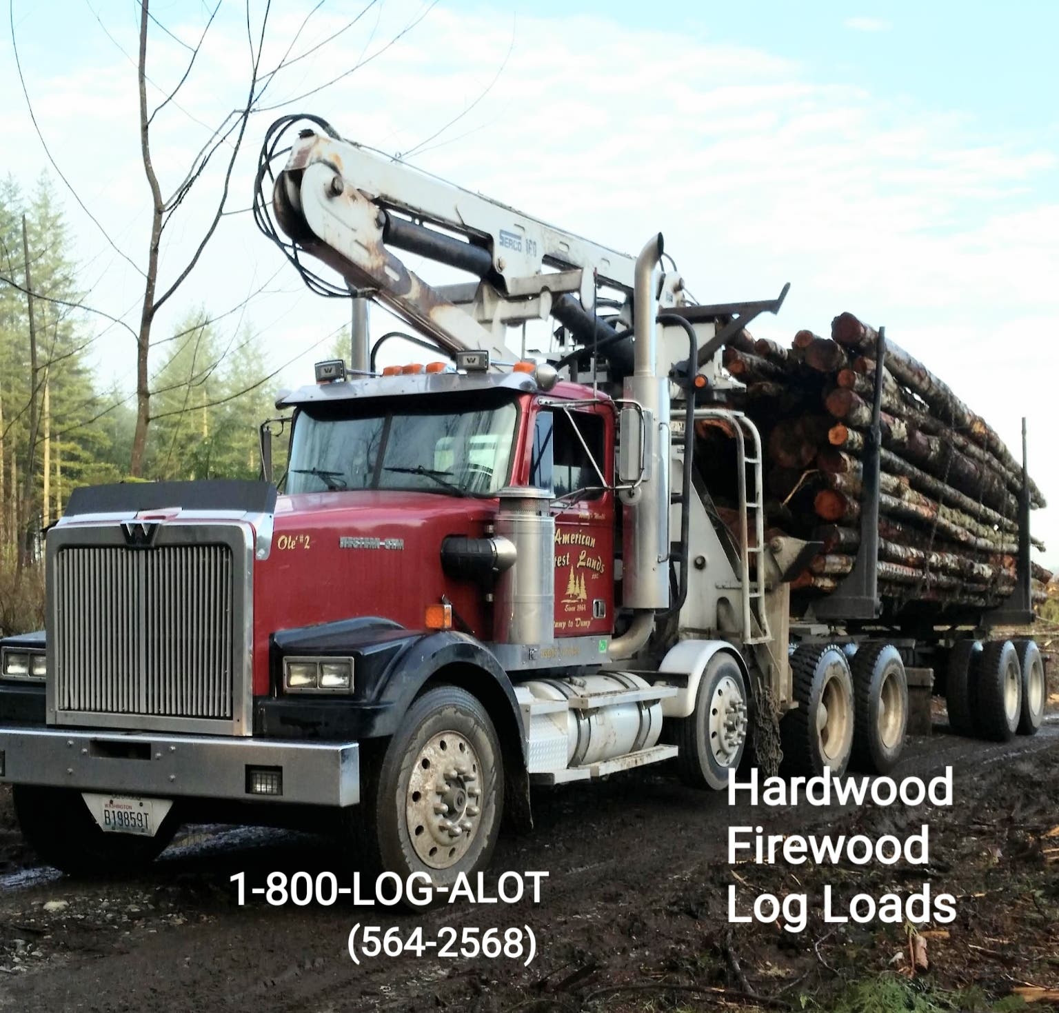 🔥 LOGS or CORDWOOD, Firewood Log Truck Loads or Split cords, We deliver Wood!