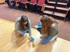 Students Kayla Fastnacht and Reese Beirne of Southern Regional Middle School examine and record evidence during a “Crime Scene Investigation” workshop at Stockton on University at Tween Tech held on March 17.