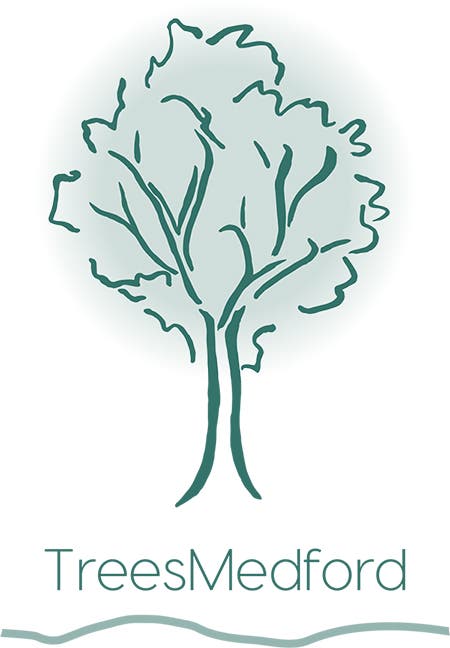 Get a Tree for your yard