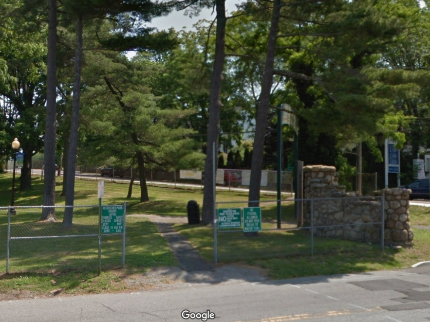 Hecksher Park in Huntington could become dog-friendly if over 1,200 people have their say.