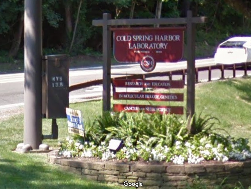 Cold Spring Harbor Laboratory, where Connor Abramowicz of Fort Salonga spent his summer researching cancer treatments.