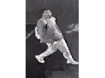 A man pointed a gun at a woman and stole her car Monday night in a Lake Grove parking lot, police said.