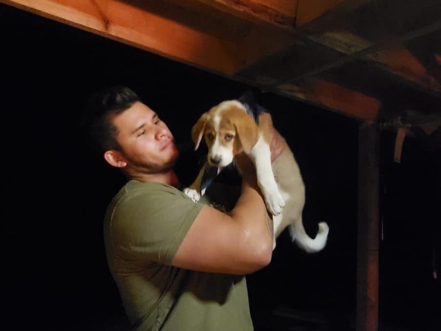 Army Sgt. Dominick is seeking financial help in bringing a dog he met as a stray in Afghanistan home to the U.S. Paws of War, a Nesconset-based organization, is trying to help him do it.
