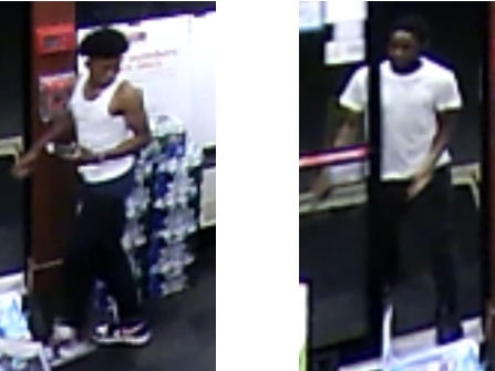 Two men stole credit cards in Dix Hills and then used them in Hauppauge in August, Suffolk police said.