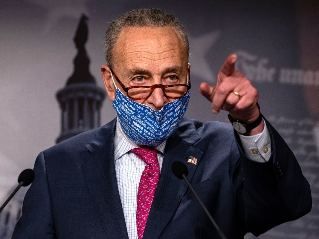 U.S. Sen. Chuck Schumer called for President-elect Joe Biden's transition team to help oversee the Navy's targeted cleanup of the Grumman plume in Bethpage.