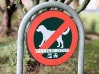 Long Islanders are petitioning to allow dogs on beaches.
