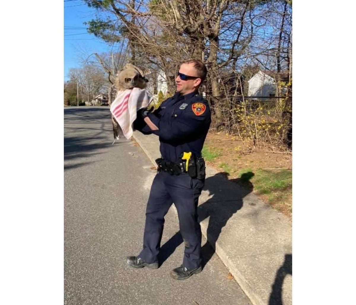 Andrew Hooghuis, a Suffolk County police officer from the second precinct, holds a baby owl in Huntington Station on Monday.