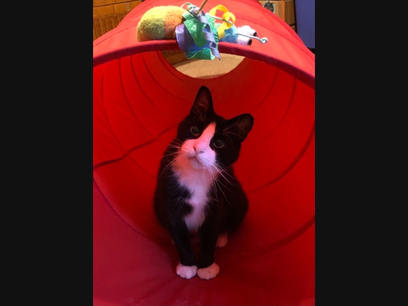 News small post card thumbnail