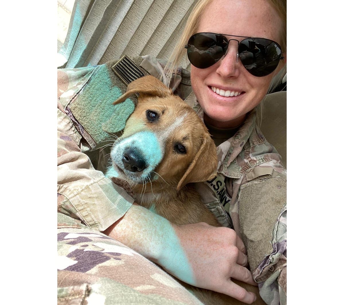 Army Specialist Taylor holding Caesar. Nesconset-based nonprofit Paws of War is seeking to help Taylor bring Caesar home to the United States.