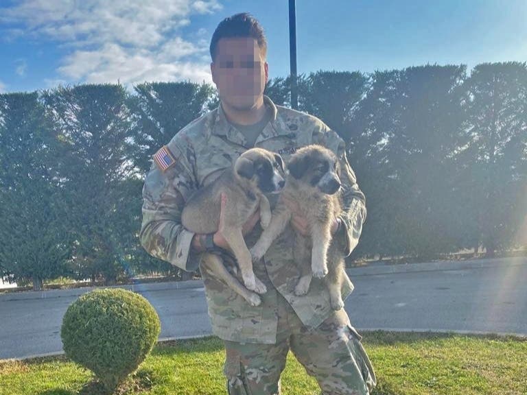 Paws of War, a Nesconset-based nonprofit, is seeking to help Staff Sgt. Jay relocate two puppies he rescued while serving overseas.