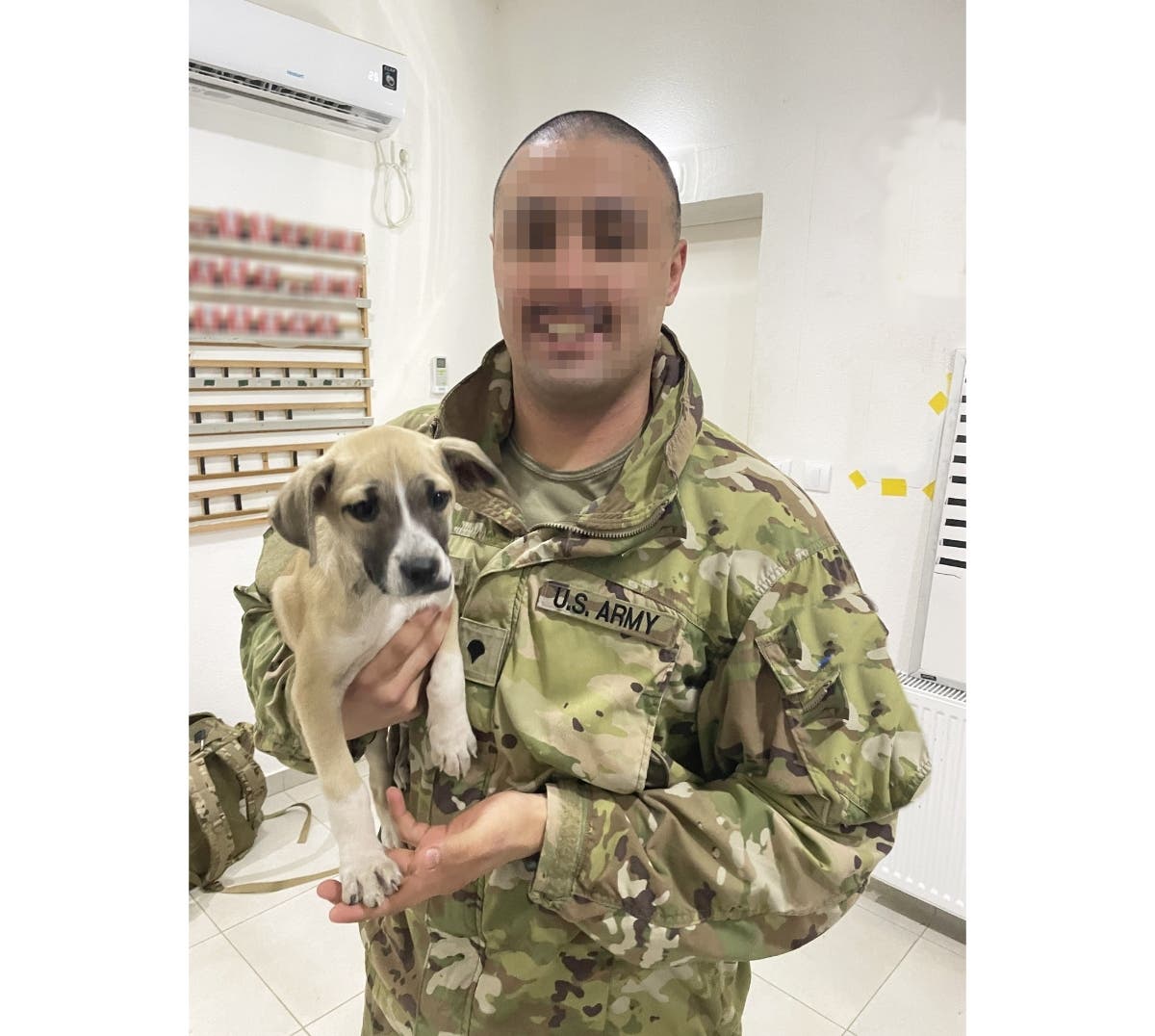Spc. Alexander with Sadie, who he saved while overseas. He has turned to Nesconset's Paws of War to help relocate Sadie to the U.S.