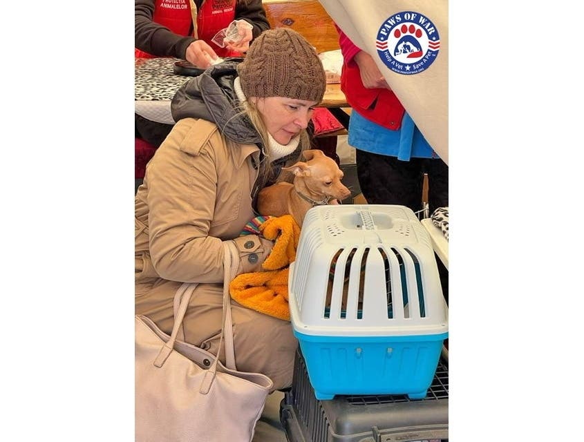 Paws of War, based in Nesconset, is helping Ukrainian refugees and their pets.