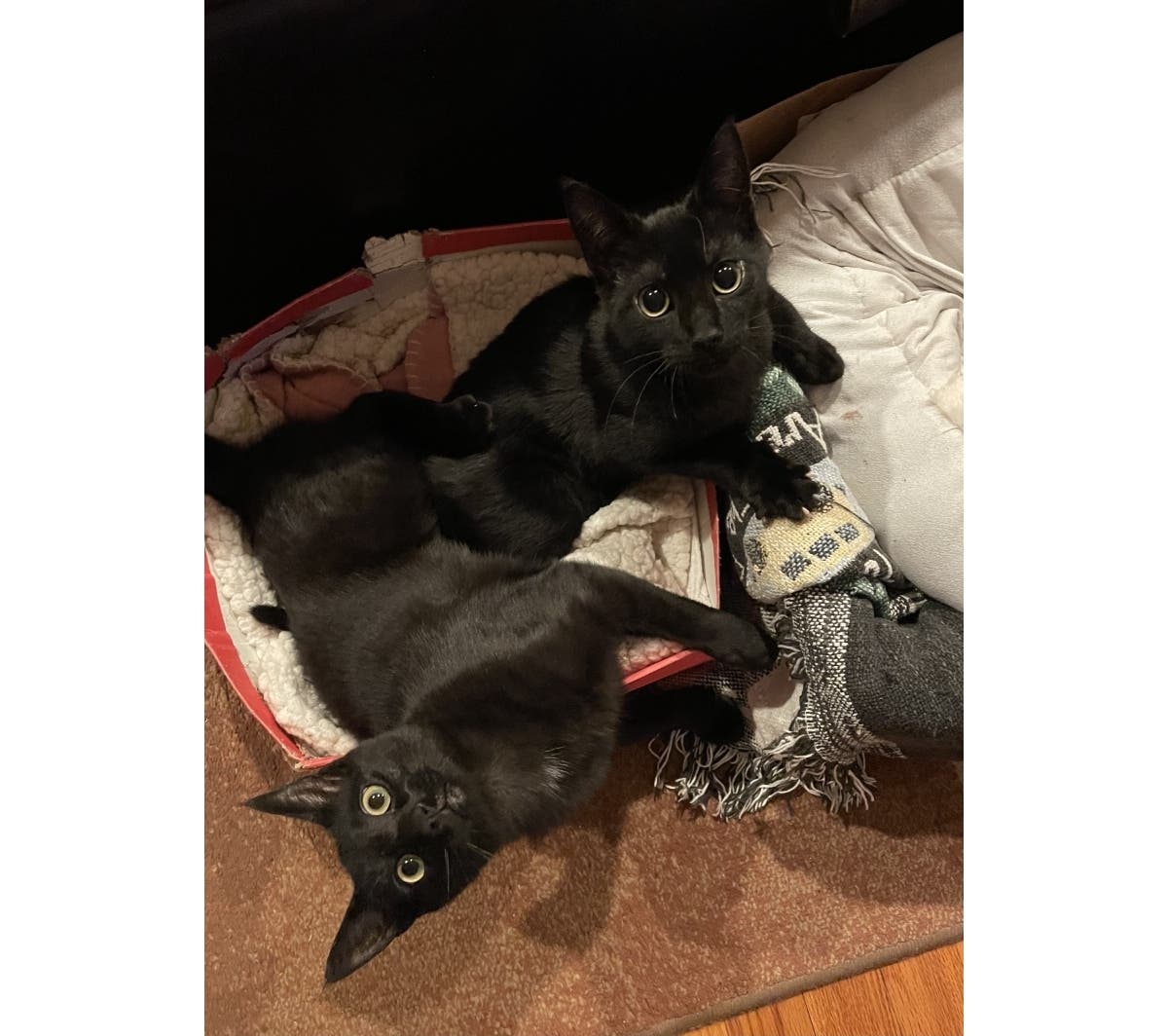 News small post card thumbnail