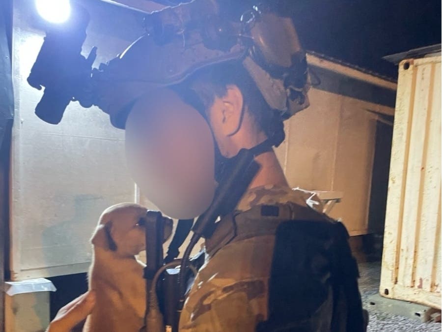 United State Marine Corps Sergeant Theodore rescued Saba by trading Pop-Tarts for the dog. Guardians of Rescue is trying to help Sergeant Theodore relocate Saba back to the U.S.