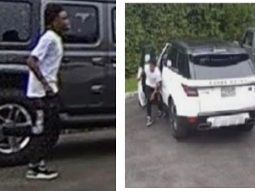 Two men stole a BMW in Melville on Sept. 22, Suffolk police said.