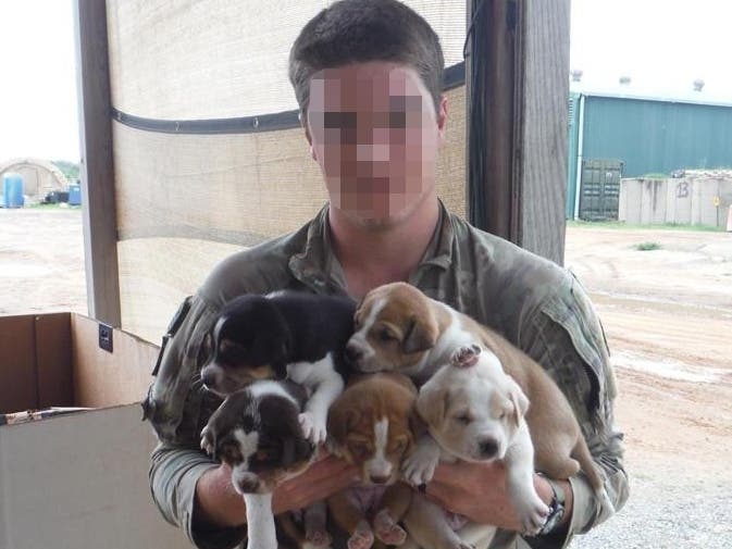 Paws of War, a Nesconset-based nonprofit, is trying to help the puppies of five soldiers that are stuck in JFK Airport while CDC paperwork is filled out, the nonprofit stated.