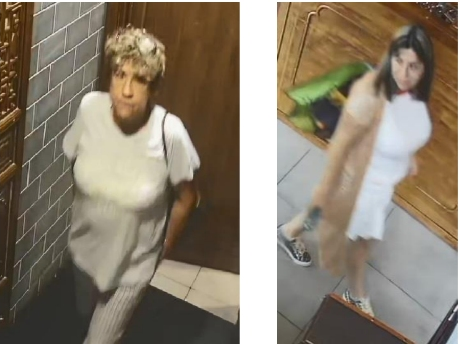Two women used credit cards stolen in Melville at stores in Huntington Station on Aug. 22, Suffolk police said.