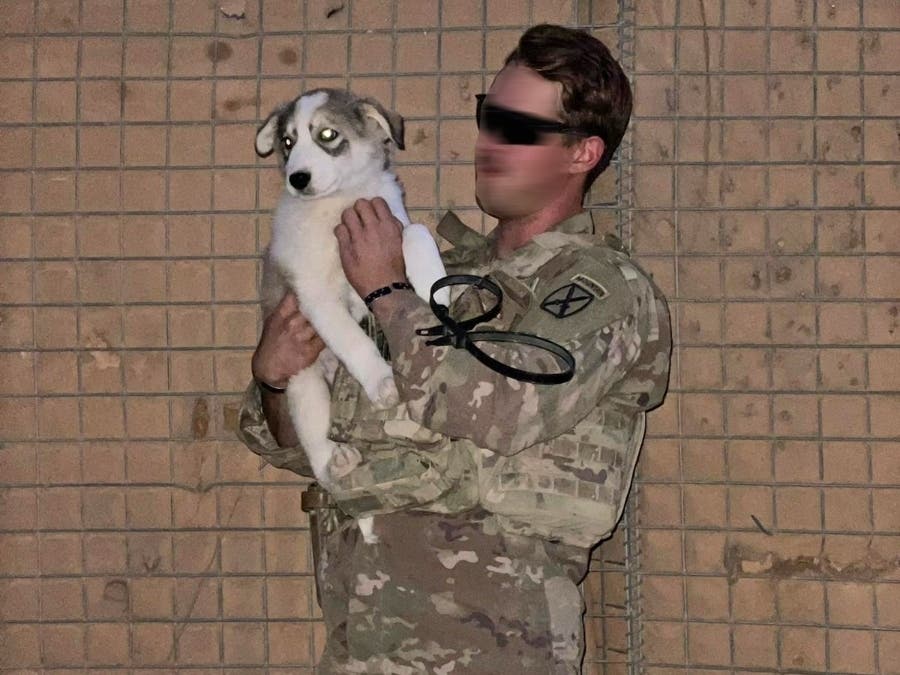 Kilo with the U.S. Army sergeant who rescued him. The sergeant has turned to Nesconset-based Paws of War to try and get Kilo relocated to the United States.