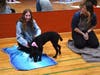 Smithtown High School East students experience puppy yoga.